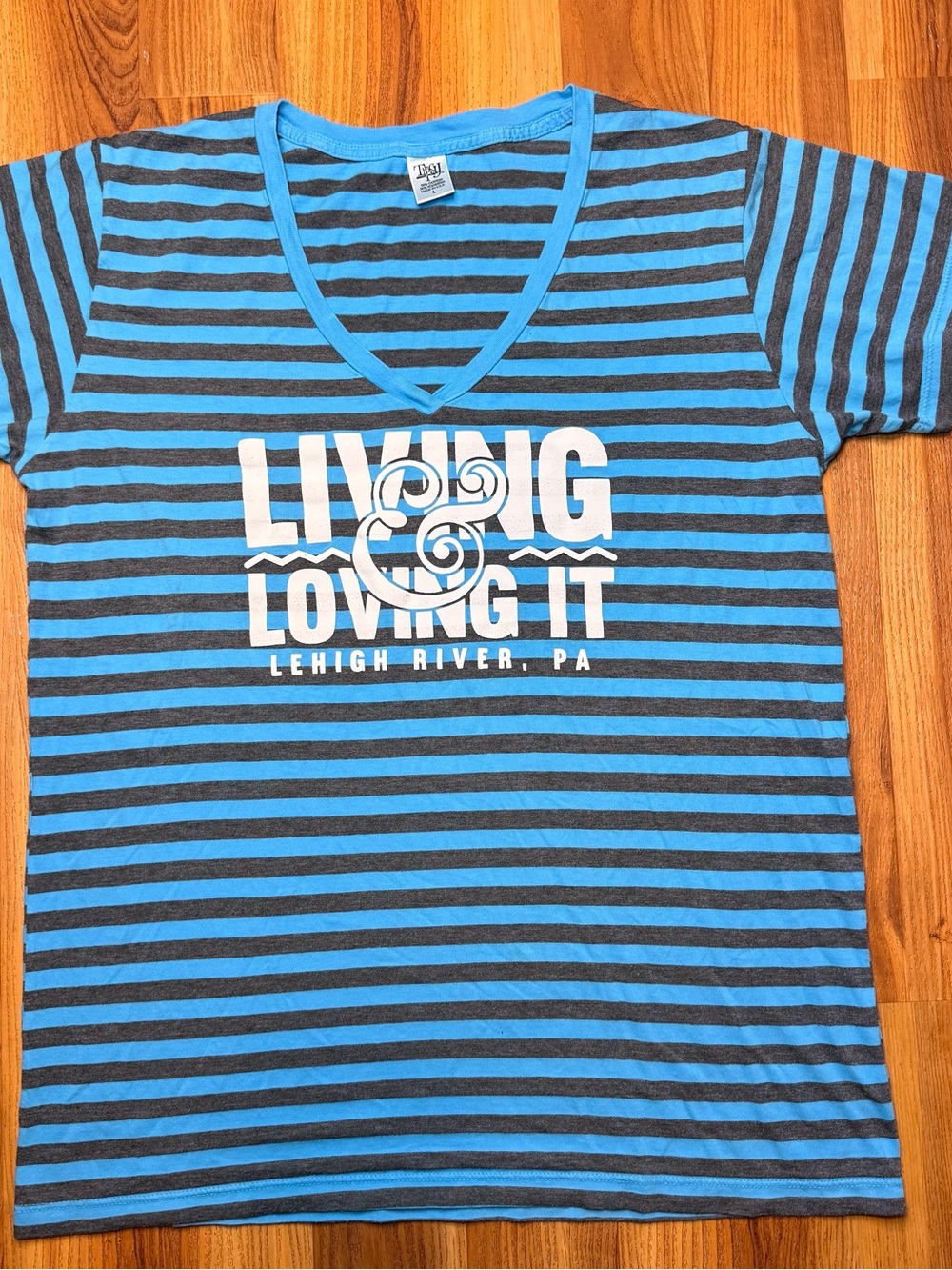 Living & Loving It Blue and Gray Striped V-Neck Tee
